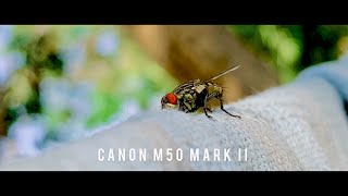 Canon M50 Mark II Cinematic Video Sample Test [upl. by Imnubulo]