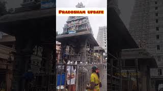 ✨today🐄pradosham🕉️update🌟 pradosham பிரதோஷம் பிரதோஷவழிபாடு shortsfeedtamiltrending [upl. by Landy682]