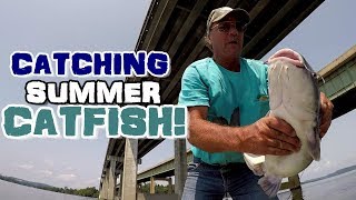 How To Catch Catfish In The Summer  Catfishing Techniques To Try [upl. by Teeter594]