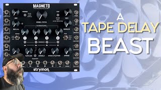 Strymon Magneto  An Ambient Echoing Texture MACHINE [upl. by Dugaid]