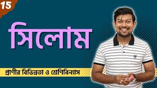 15 সিলোম। Coelom। Acoelomates। Pseudocoelomates। Eucoelomates। [upl. by Vada]