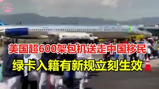 美国大使馆通告 美国超600架包机送走中国移民 绿卡入籍有新规立刻生效【Echo走遍美国】 【Echos happy life】 【Echo的幸福生活】 [upl. by Truitt]