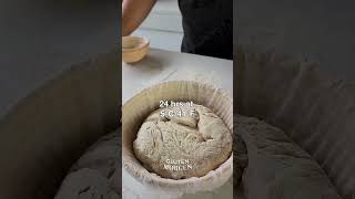 Make Delicious Butter Bread At Home Without Kneading  Quick amp Easy Recipe bread breadrecipe [upl. by Tony953]