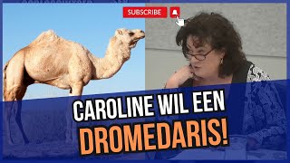 Caroline vd Plas PREEKT Waarom staat de Dromedaris niet op de positief lijst [upl. by Notelrac]