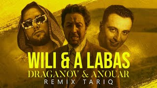 Draganov ft Anouar  WILI amp A Labas  TARIQ REMIX [upl. by Snow698]