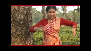 পাহাৰিয়া মন Assamese modern song dance performance Paharia man [upl. by Crane625]