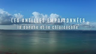 Les Antilles empoisonnées la banane et le chlordécone [upl. by Louis]