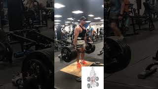 The hex bar deadlift works many muscles includingquadricepshamstrings glutes lower back [upl. by Fritze]