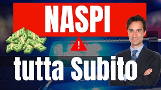 PARTITA IVA E DISOCCUPAZIONE GUIDA SU COME FARE DOMANDA DI NASPI ANTICIPATA Tutorial completo 2024 [upl. by Mccarthy]