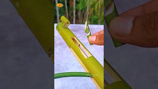 Tu Boda bamboo Art shorts youtubeshorts viralvideo ytshorts diy [upl. by Anilak]