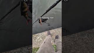 Didnt expect to catch that Fishing rod fishing fish catch fishingrod pike bass [upl. by Bartlett]