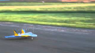 Jet turbine powered RC model Wild Hornet 2002 [upl. by Latsirk51]