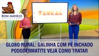 🐔 Globo Rural Galinha com pé inchadopododermatite VEJA COMO TRATAR [upl. by Fridlund]