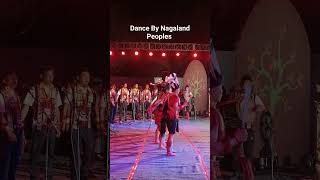 Naga Dance By Nagaland Peoples dance [upl. by Enaled]