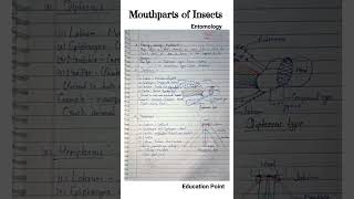 Mouthparts of Insects  Entomology  Types of Mouthparts  MSc zoology [upl. by Nelyt]