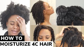 The ONLY Video You Need on How to Moisturize DRY 4C Natural Hair  DETAILED TUTORIAL 🙌🏽 💦 [upl. by Erica267]