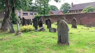 Graveyard and Ragwort Lore Summer Vlog [upl. by Acinoj]