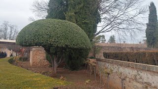 The Beautiful Queens Garden at The Alhambra Palace Spain [upl. by Allis449]