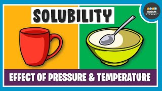 What is Solubility Chemistry [upl. by Atnohsal]