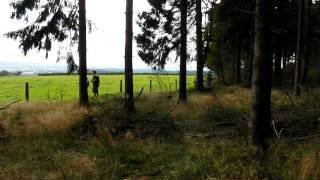 Foxholes Lyle Bouck at Lanzerath Belgium [upl. by Robaina]