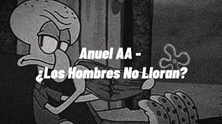 Anuel AA  ¿Los Hombres No Lloran slowed and reverb [upl. by Acimahs65]