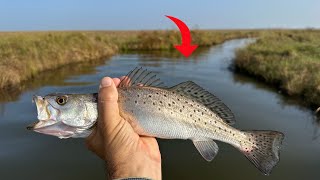 Ditches Like This LOADED with Speckled Trout [upl. by Ojeillib]