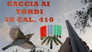 CACCIA AI TORDI IN CAL 410 [upl. by Jon994]