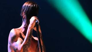 Red Hot Chili Peppers  Brendans Death Song  Live in Köln 2011 HD [upl. by Hawthorn851]