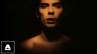 Peter Murphy  Hit Song HD [upl. by Novoj]