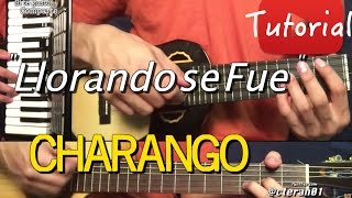 Llorando se Fue  Charango y Acordeon TutorialCover [upl. by Louie]