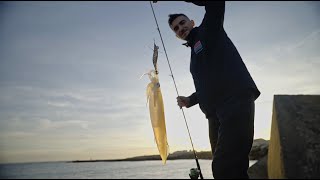 Pêche du Calamar du Bord à la Turlutte [upl. by Bak]