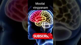 Moolai vingyanam marcopolo  kadhabharatham  peridhinum peridhu kel  tamil audio shorts [upl. by Olin576]