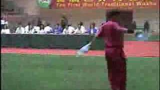 Shuang Dao Double Broadsword  World Wushu Champs 2004 [upl. by Nalym]