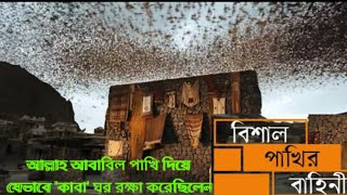 আল্লাহ আবাবিল পাখি দিয়ে যেভাবে কাবা ঘর রক্ষা করেছিলেনRasulSAWTV 11 [upl. by Emse]