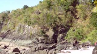 Coral beach on Daydream Island Whitsundays [upl. by Randell]