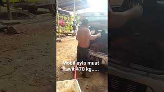 mobil Ayla muat sawit 470 kg [upl. by Sidney782]