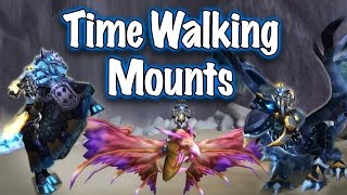 Jessiehealz  Timewalker Mounts Display World of Warcraft [upl. by Eisac]