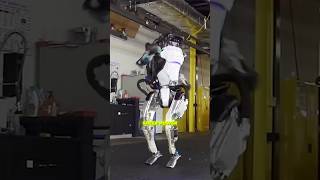 Which Robot is STRONGER Tesla Bot or Boston Dynamics [upl. by Ninaj]