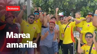 Hinchas colombianos en Miami listos para la final  Semana Noticias [upl. by Tanah290]