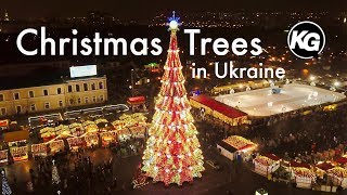 The Main Christmas Trees in Ukraine fly aerial video [upl. by Murdocca]