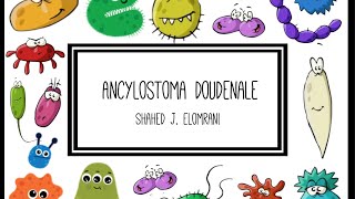 Ancylostoma Duodenale [upl. by Solrak381]