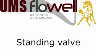 Standing valve [upl. by Hodges]