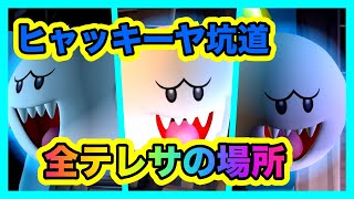 【ルイージマンション２HD】ヒャッキーヤ坑道 全テレサの場所攻略 [upl. by Genovera]