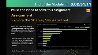 Assignment 6  Explore the Shapley Values output  DAI Starter Course [upl. by Blainey130]