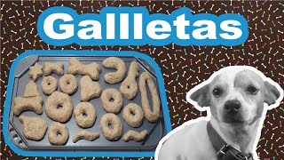 Galletas Para Perros  Cachorros Mi Mejor Amigo [upl. by Esiled]