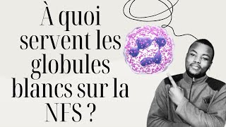 Comment interpréter les globules blancs dans lhémogramme  nfs 2 [upl. by Quitt]