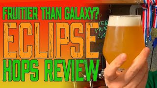 Eclipse Hops  Hop Tester Review amp Taste Test [upl. by Kinnard]