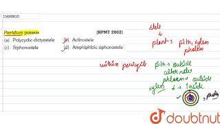 Pteridium possess  11  PLANT KINGDOM  BIOLOGY  ERRORLESS  Doubtnut [upl. by Sebastiano]