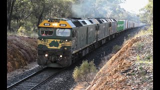 G539523525 on 7901V at Bealiba Bank 240824 [upl. by Leandra]