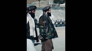 taliban afghanistan shorts [upl. by Ahseekat]